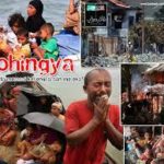 Rohingya