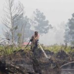 Empat Provinsi Di Indonesia Ditetapkan Menjadi Darurat Potensi Kebakaran