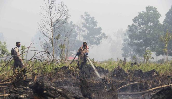 Empat Provinsi Di Indonesia Ditetapkan Menjadi Darurat Potensi Kebakaran