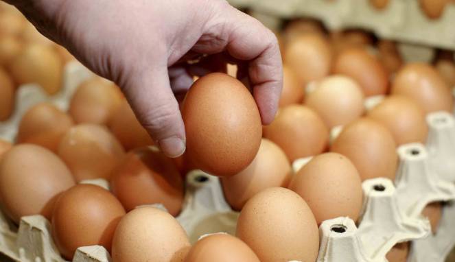 Cara Bedakan Telur Busuk Dan Segar yang Sebaiknya Anda Tahu