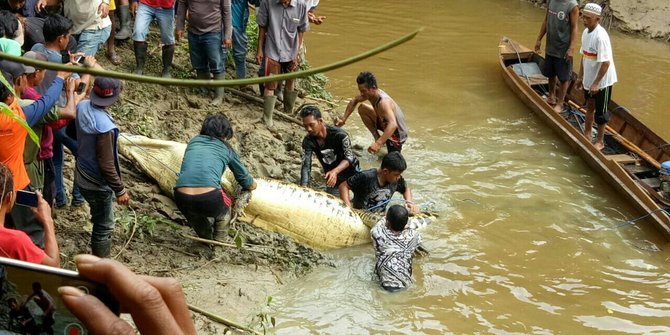 Seorang Tewas Dengan Kondisi tangan Dan Kaki Hilang