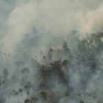 Kebakaran Hutan Menyumbang Tingkat Emisi Gas Rumah Kaca Yang Tinggi