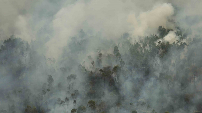 Kebakaran Hutan Menyumbang Tingkat Emisi Gas Rumah Kaca Yang Tinggi