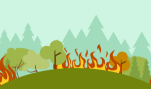 Kebakaran Terjadi Di Hutan Milik Perum Perhutani Ponorogo