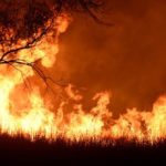 Puluhan Hektar Lahan Hutan Di Aceh Terbakar