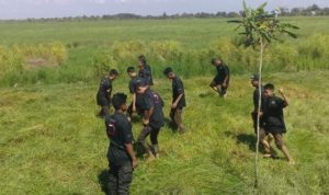 TNI Bersama Ratusan Mantan Preman Bantu Buat Lahan Sawah
