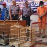 2 Pemuda Ditangkap Karena Mencuri Burung Bernilai Puluhan Juta
