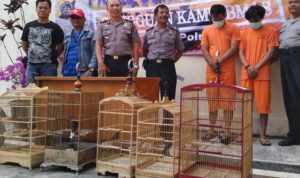 2 Pemuda Ditangkap Karena Mencuri Burung Bernilai Puluhan Juta