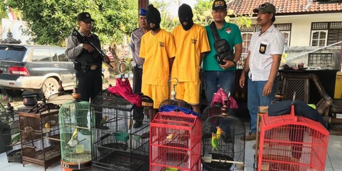 2 Pemuda Ditangkap Polisi Karena Nekat Mencuri Burung