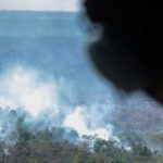 Mendekati Asian Games Kebakaran Hutan Di Riau Terjadi Lagi
