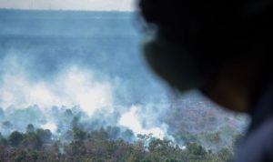 Mendekati Asian Games Kebakaran Hutan Di Riau Terjadi Lagi