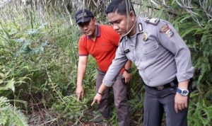 Seorang Pemburu Temukan Tengkorak Manusia Di Mandau Riau