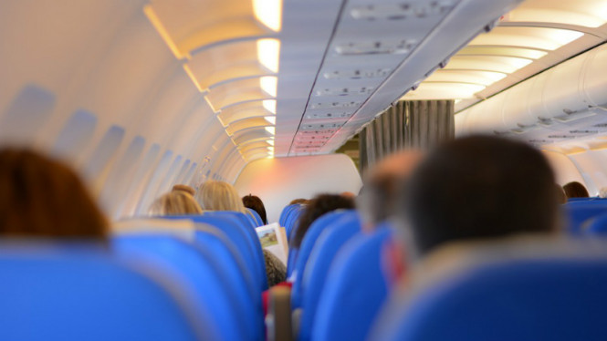 Siapa Sangka Kutu Rambut Bisa Menular Dari Kursi Pesawat