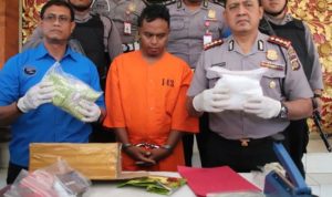 Simpan Ganja 1 Kilogram Seorang Pemuda Di Bali Diamankan Polisi