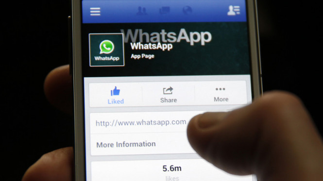 Whatsapp Beri Peringatan Pengguna Android Bakal Hapus Foto dan Video