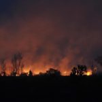 Gugatan PN Meulaboh Digagalkan PT Aceh Terkait Kebakaran Hutan