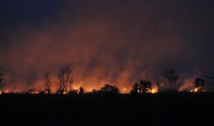 Gugatan PN Meulaboh Digagalkan PT Aceh Terkait Kebakaran Hutan