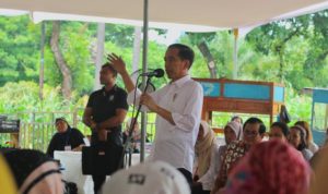 Jokowi Panen Raya Udang Di Muara Gembong