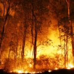 Sepekan Di 2019 Kebakaran Lahan Di Riau Capai 66 Hektare